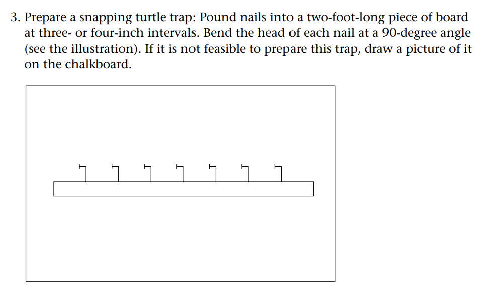 snapping turtle trap Temptation: Like a Snapping Turtle Trap