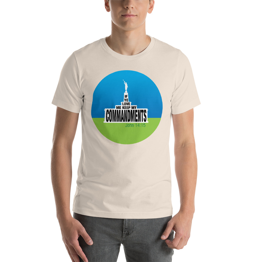 Download 2019 Mutual Theme T-Shirt with Temple Logo | No Boring Lessons